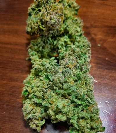 Сорт Strawberry Cheesecake Auto fem от Humboldt Seed Company