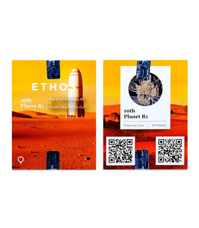 Сорт 10TH Planet R1 fem (Ethos Genetics)