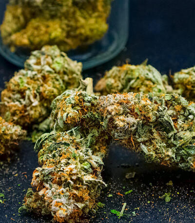 Сорт Mendo Frost Auto fem (FastBuds)