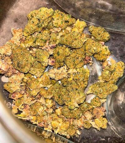 Сорт Garlic Cookies fem