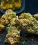 Сорт Mendo Frost Auto fem (FastBuds)