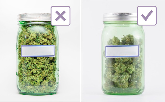 Как уложить шишки во время пролечки Заполнить контейнер до верха